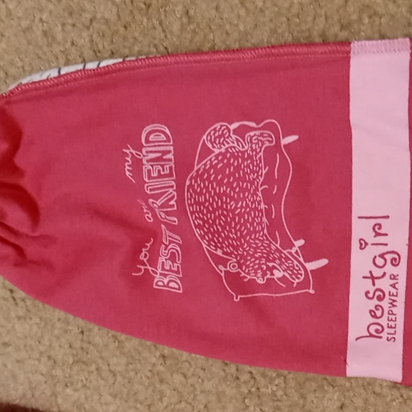 NWT girls pink You Are My Best Friend nightgown, with carry bag. Sz L - Picture 4 of 6